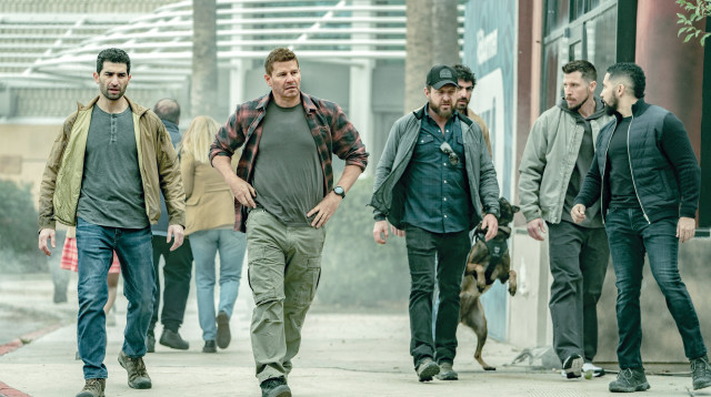 "אריות הים" (צילום: באדיבות yes)