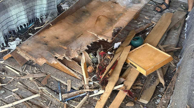 נפילה ישירה בזרעית  (צילום: שימוש לפי סעיף 27א')