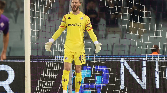 דויד דה חאה שוער פיורנטינה (צילום: GettyImages, Gabriele Maltinti)