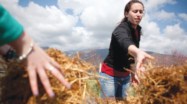 מתנדבים (צילום: JFNA)