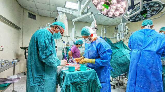 השתלת כליה מן החי (צילום: בית החולים סורוקה)