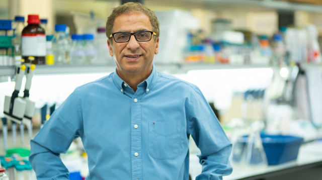 דוד זיגדון מנכ"ל מכון המחקר מיגל (צילום: באדיבות מכון המחקר מיגל)