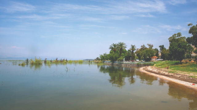 קיבוץ האון (צילום: יוסי אלוני)