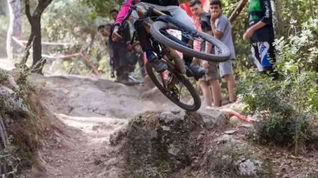  (צילום: אילן קדוש)