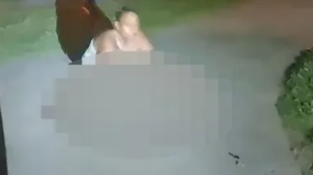 תועדה אוכלת את החתול של השכן (צילום: Canton Police Department)