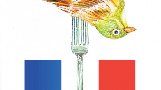 האם פריז בוערת? (צילום: איור: נעמי ליס מיברג)