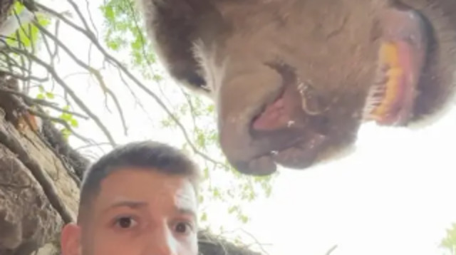 מפחיד: צילם עצמו במאורת דובים ואז הדוב הגיע (צילום: מתוך אינסטגרם)