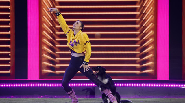 רוני שגיא במופע חצי הגמר של אמריקה גוט טאלנט  (צילום: באדיבות סלקום TV)