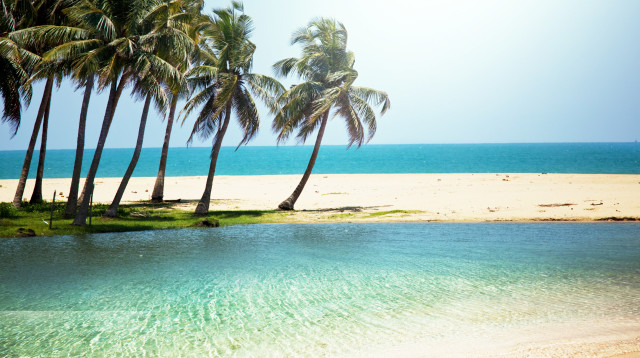 חוף טרופי (צילום: אינגאימג')