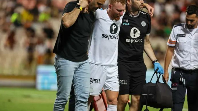  (צילום: לירון מולדובן)