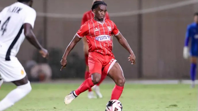 ישוב כשהמצב יירגע. אומאונגה (צילום: מאור אלקסלסי)