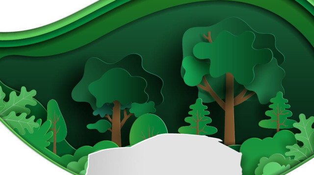  תחרות ה-ISRAEL EARTH PRIZE של TOYOTA ישראל (צילום: טויוטה)