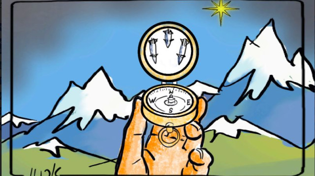 כדאי שנאתר את כוכב הצפון שאבד לנו (צילום:  ארנון קרמר)