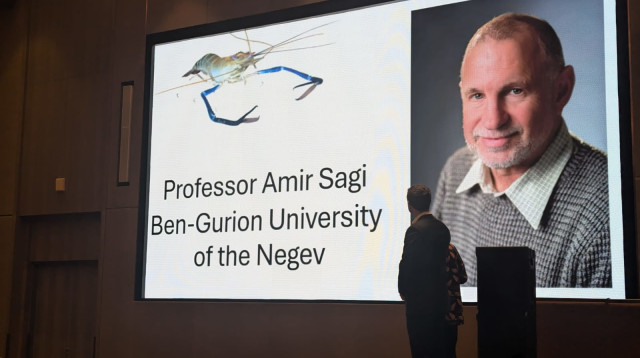 הקשר המלזי. פרופ' אמיר שגיא  (צילום: דני מכליס)