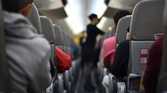 טיסה. משחק הישרדות (צילום: שאטרסטוק)