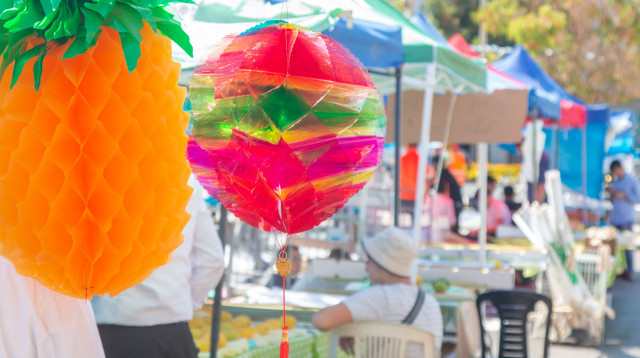 שוק ארבעת המינים (צילום: עיריית פתח תקווה)