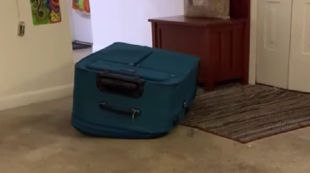 החבר לכוד במזוודה מתחנן "אני לא יכול לנשום" בזמן שחברתו מצלמת אותו (צילום: רשתות חברתיות)