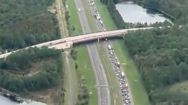 תושבי פלורידה בורחים מטמפה לפני הגעתו של הוריקן מילטון (צילום: Hillsborough County Sheriff's Of via Reuters Connect)