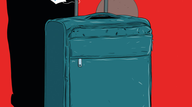 מזוודה (איור) (צילום: איור: אורי פינק)