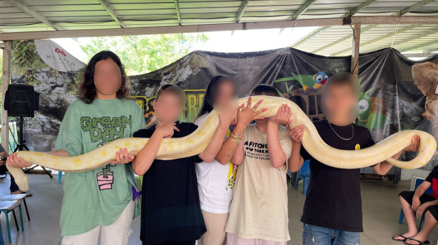 פעילויות ב"בני ארזים"  (צילום: "בני ארזים")