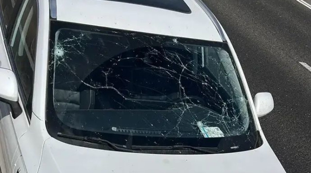  (צילום: באדיבות המצולמים)