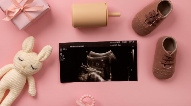 על מחלקת היולדות של בית חולים מעיני הישועה (צילום: FREEPIK)