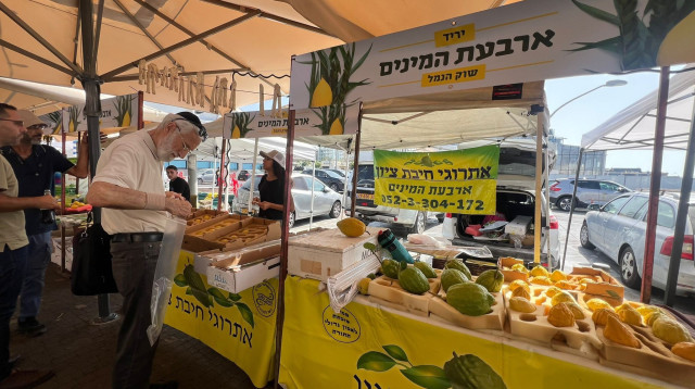 יריד ארבעת המינים בשוק הנמל, נמל תל אביב (צילום: גל יערי)