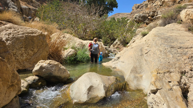 עין פרת  (צילום:  יניב כהן רשות הטבע והגנים)