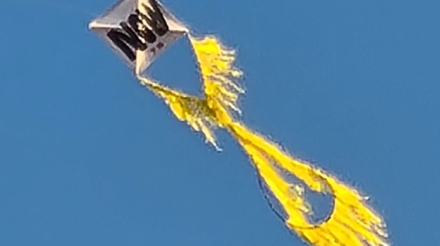 עפיפוניאדה קהילות בארי וחצרים (צילום: דוברות קיבוץ בארי)