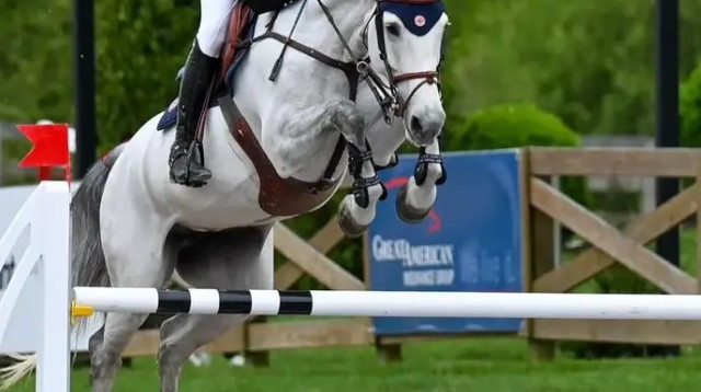  (צילום: התאחדות הספורט לרכיבת סוסים)