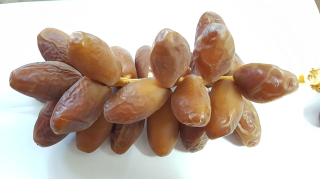 תמרים (צילום: שימוש לפי סעיף 27א')