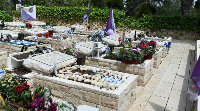 חלקה צבאית, חרבות ברזל (צילום: דובר צה"ל)