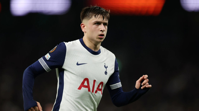 שחקן טוטנהאם, מייקי מור (צילום: GettyImages, Catherine Ivill - AMA)