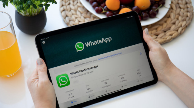 ווטסאפ באייפד. עוד משתמשים נסיינים (צילום: שאטרסטוק)