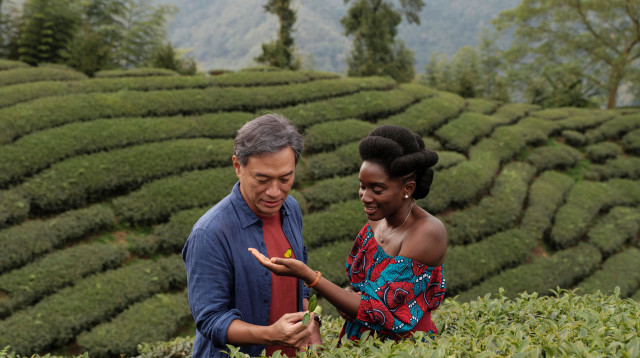 איה וקאי בין שדות התה האינסופיים, מתוך הסרט "תה שחור" (צילום: באדיבות סרטי נחשון)