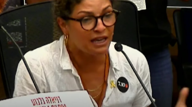 עדי אשכנזי בכנסת (צילום: ערוץ הכנסת)