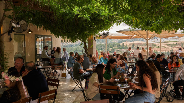 יקב קסטל  (צילום: אלעד ברמי)