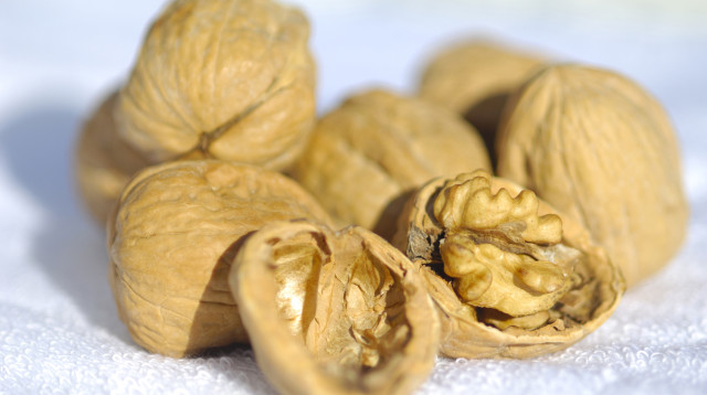 כדי להצליח בדיאטה הטבעונית יש להקפיד על צריכת אומגה 3. בתמונה: אגוזי מלך, עשירים באומגה 3 (צילום: אינגאימג)