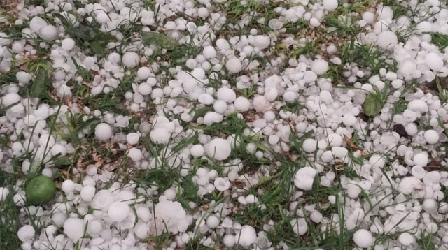 ברד בכרמיאל (צילום: שימוש לפי סעיף 27א')