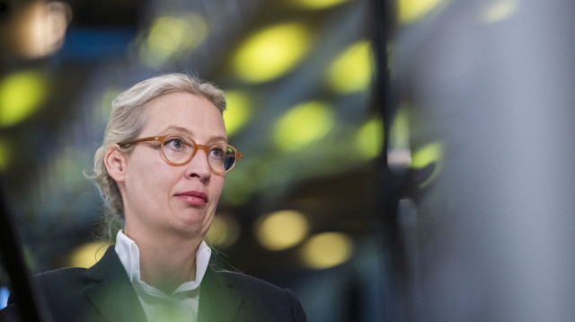 אליס ויידל (צילום: THOMAS LOHNES.GETTYIMAGES)