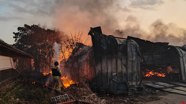 בית שרוף במושב אביבים (צילום: שימוש לפי סעיף 27א')