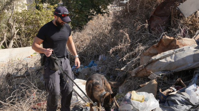 פעילות כוחות המשטרה ביישוב ערערה בנגב  (צילום: דוברות המשטרה)
