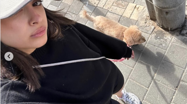 עינב שרי (צילום: אינסטגרם)