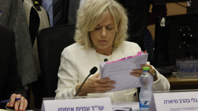 היועצת המשפטית לממשלה גלי בהרב מיארה (צילום: מרק ישראל סלם)