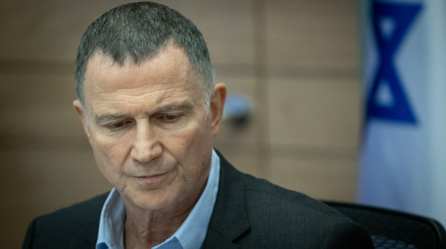 יולי אדלשטיין (צילום: חיים גולדברג, פלאש 90)