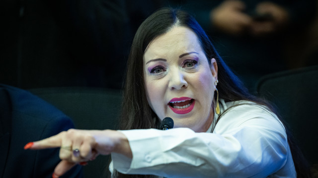 טלי גוטליב (צילום: יונתן זינדל, פלאש 90)