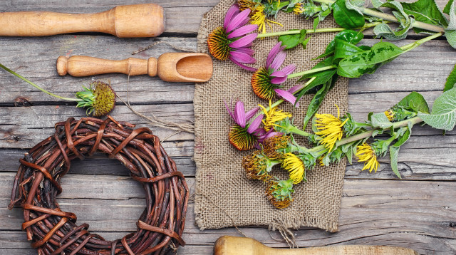 צמחי מרפא, אילוסטרציה (צילום: אינגאימג')