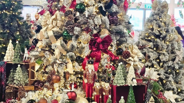 כריסטמס בנוף הגליל  (צילום: צים אורבן)