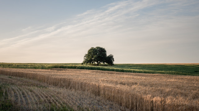 מזג אוויר בהיר (צילום: מילה אביב, פלאש 90)
