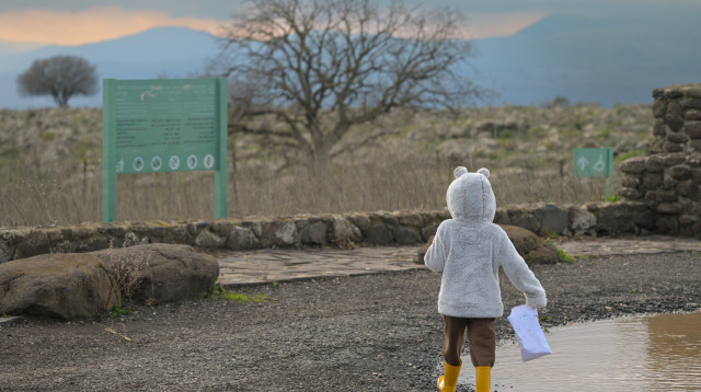 מזג אוויר חורפי (צילום: מיכאל גלעדי, פלאש 90)